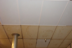 new-replacement-ceiling1